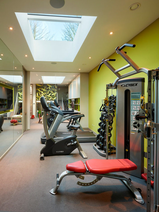 1Dc1Cc8D05C528E1_9682-W550-H734-B0-P0-Contemporary-Home-Gym